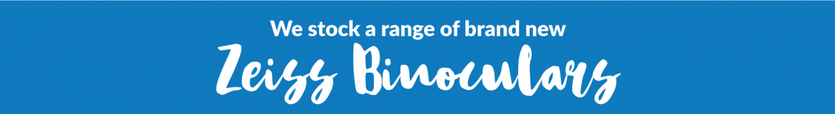 SMALLBANNER6.png