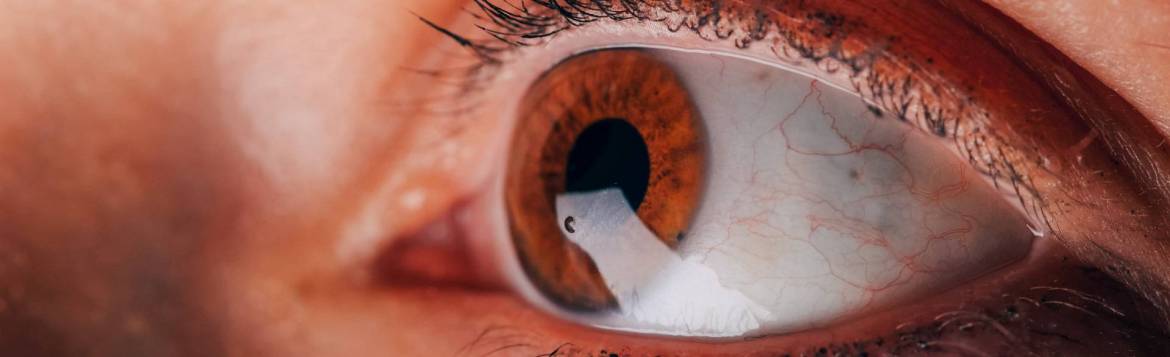 GLAUCOMA-SCREENINGS-1920x586-1.jpg